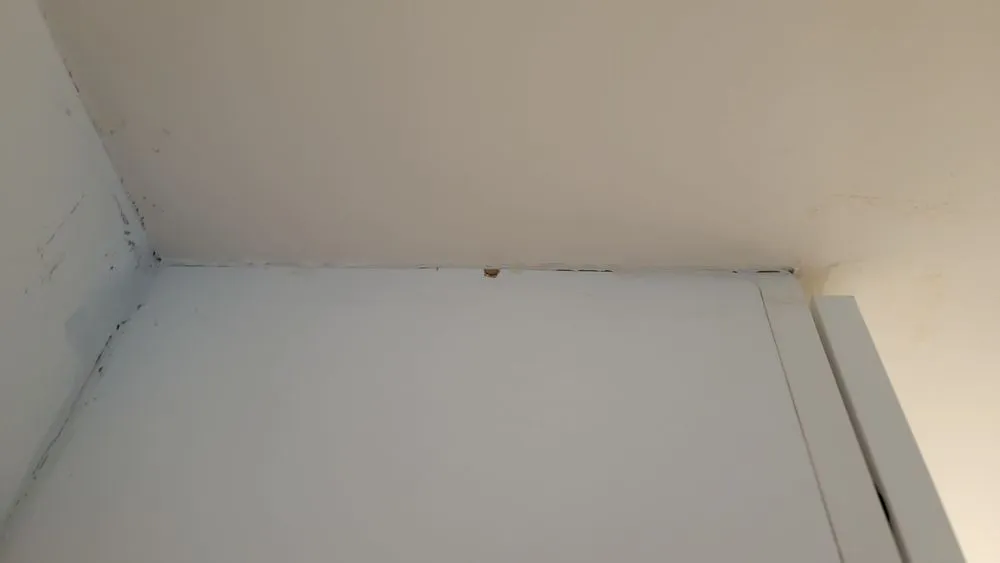 Slide of Charles Rinaldo Construction