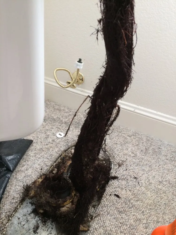 Trusted drain cleaning for homes in San Jose, CA by Charleys Plumbing