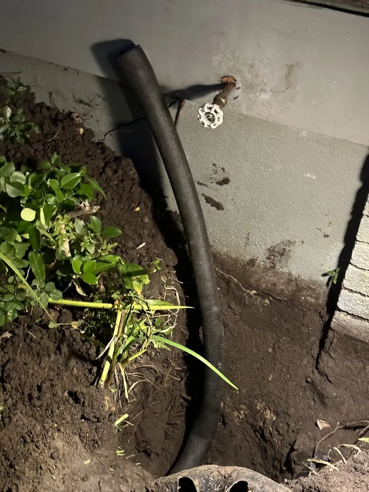 Slide of Charlie Bones Services