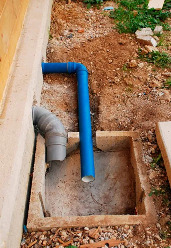 Slide of Charlie Bones Services