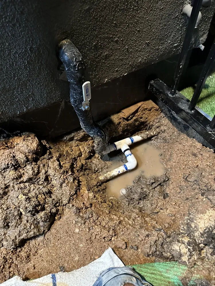 Slide of Charlie Bones Services