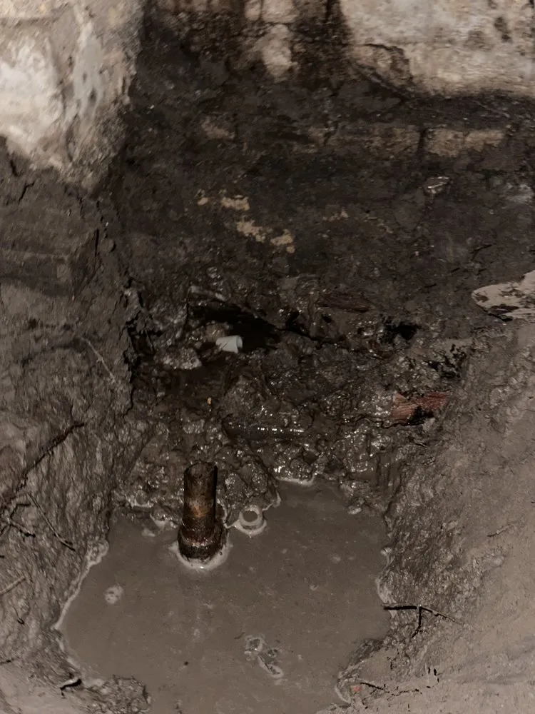 Slide of Charlie Bones Services