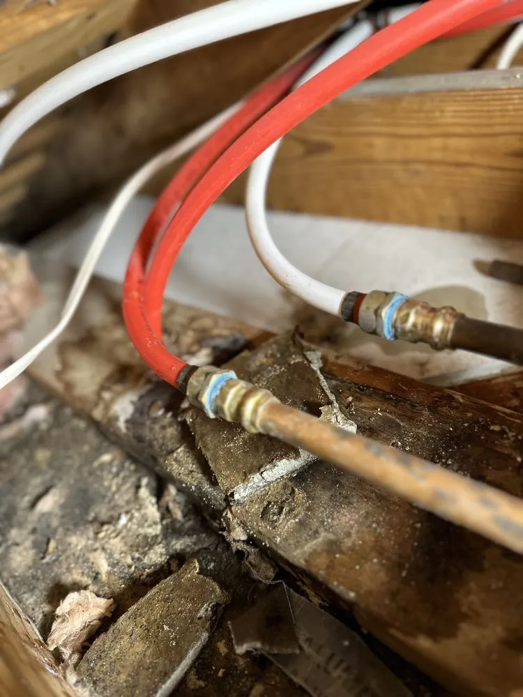 Slide of Charlie Bones Services