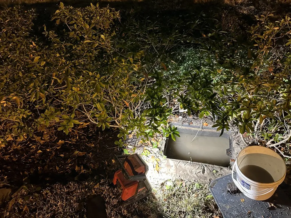 Slide of Charlie Bones Services