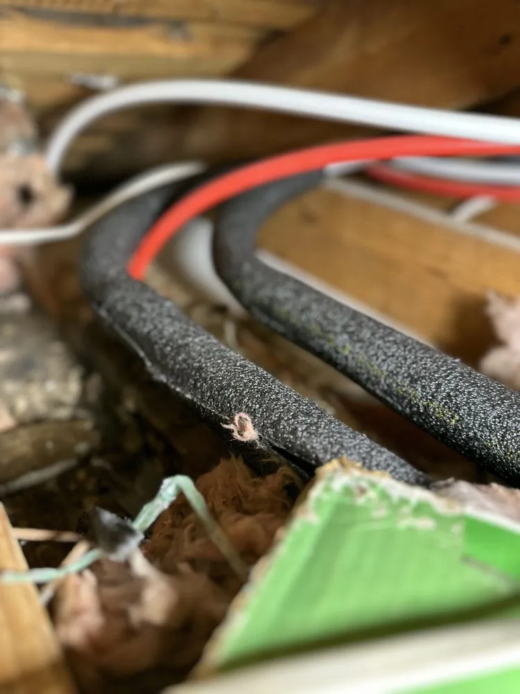 Slide of Charlie Bones Services