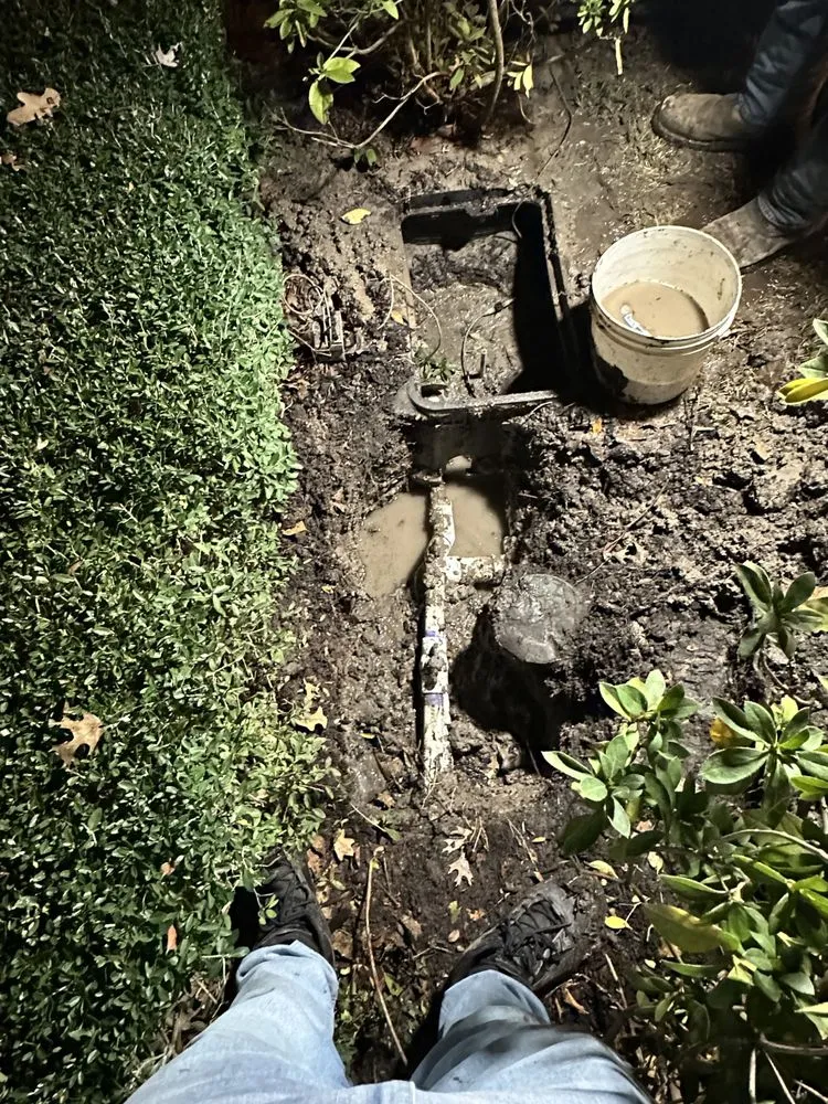 Slide of Charlie Bones Services