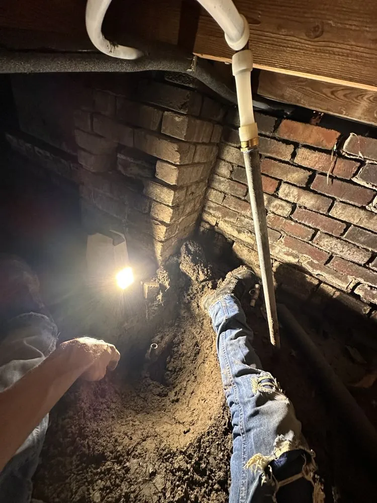 Slide of Charlie Bones Services