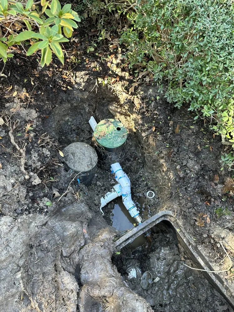 Slide of Charlie Bones Services