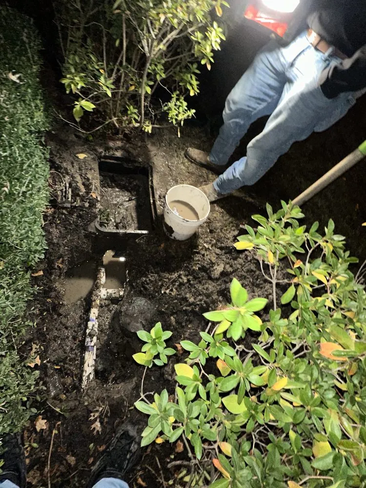 Slide of Charlie Bones Services