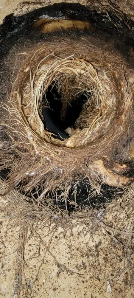 Slide of Charlies Plumbing