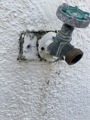 Charlotin Plumbing Services Logo