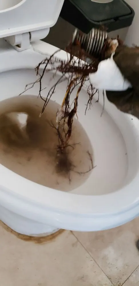 Slide of Chase Plumbing and Drain