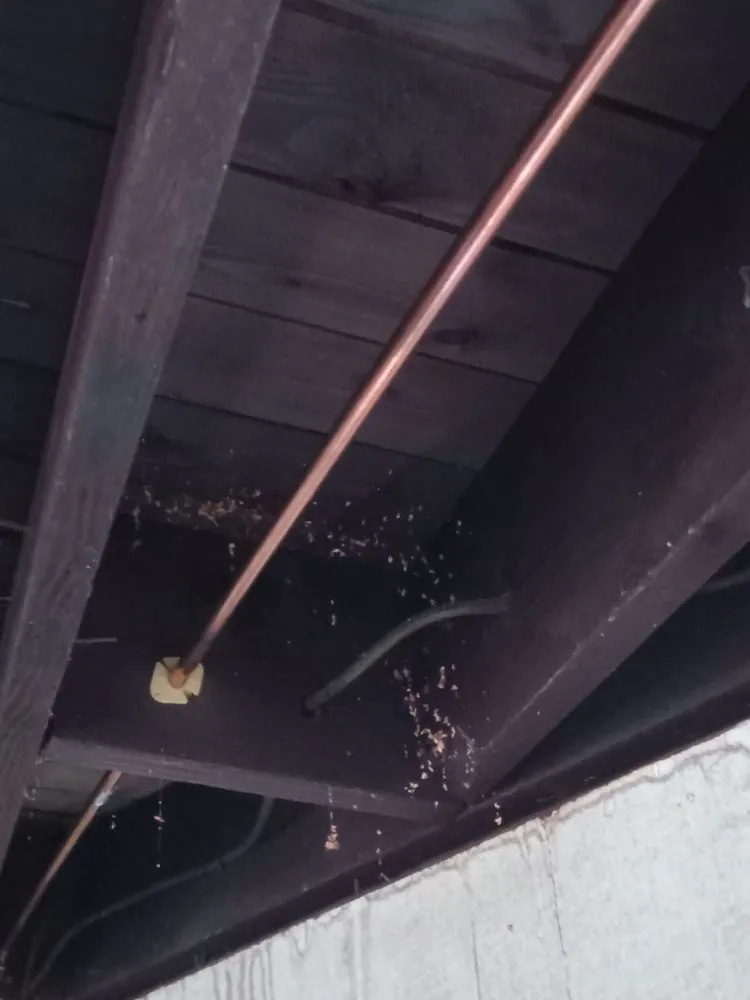 Slide of Chase Plumbing and Drains