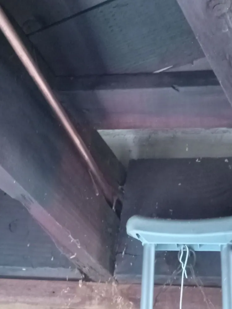 Slide of Chase Plumbing and Drains