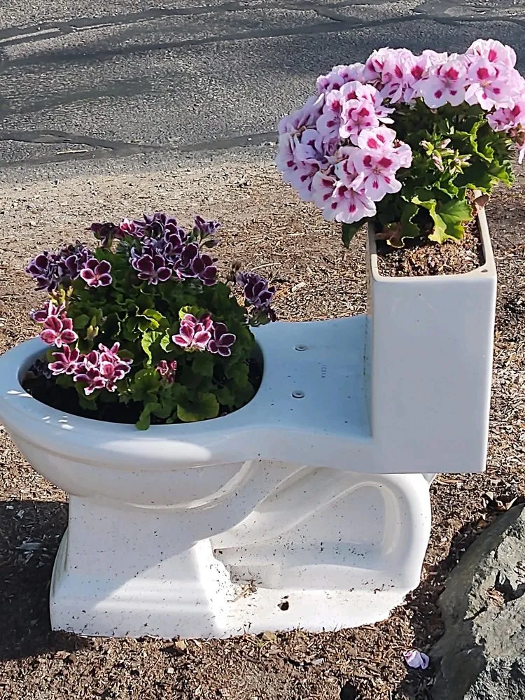 Slide of Chase Plumbing Co.