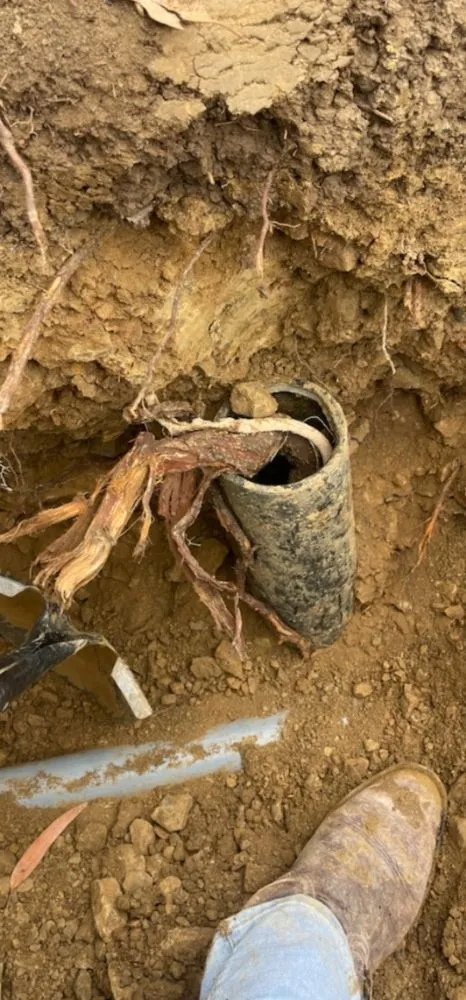 Slide of Chase Rooter & Plumbing