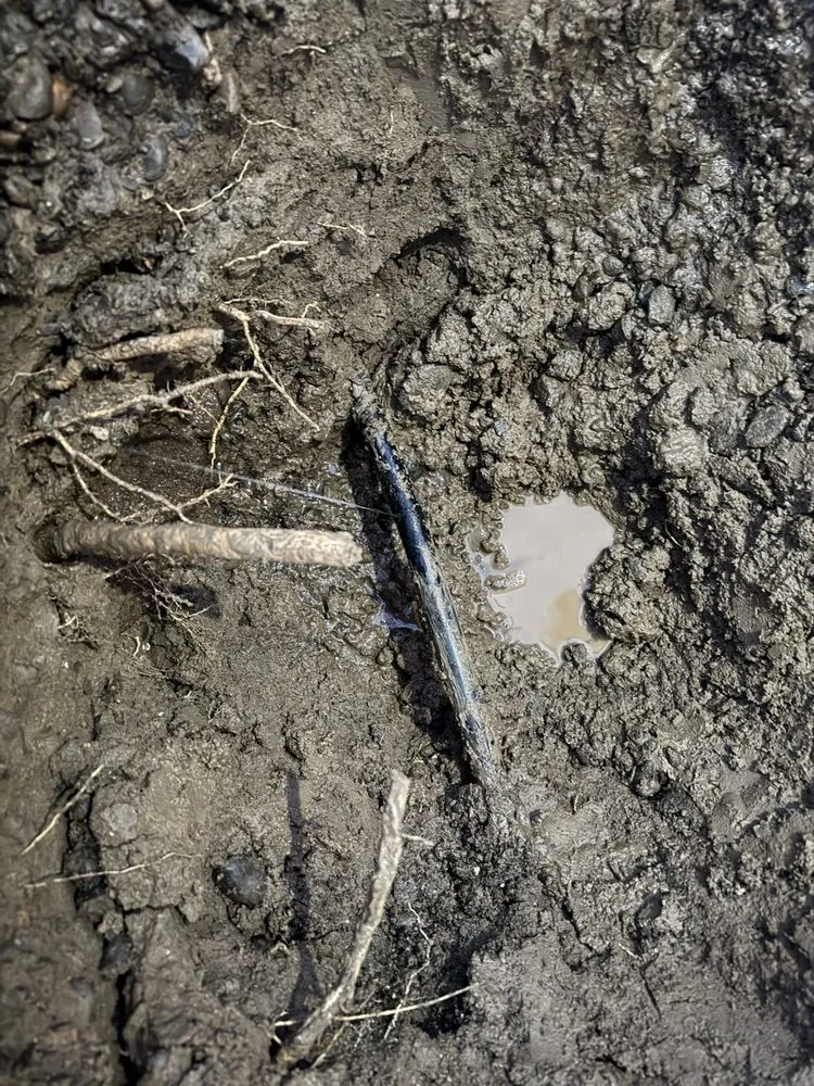 Slide of Chato's Services