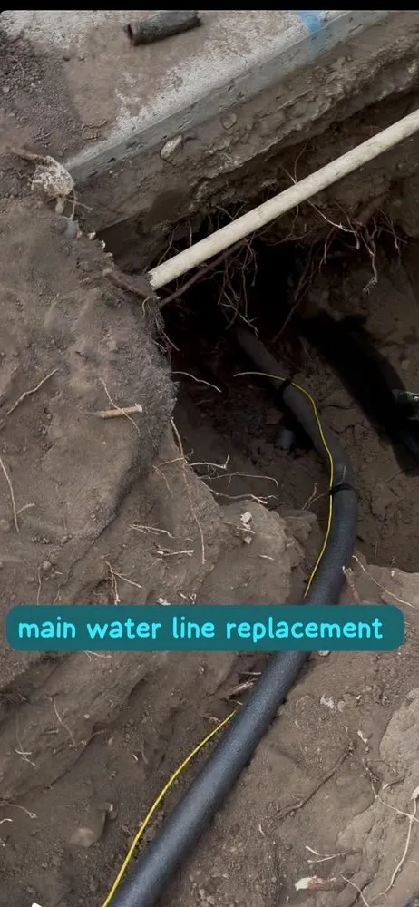 Slide of Chato's Services