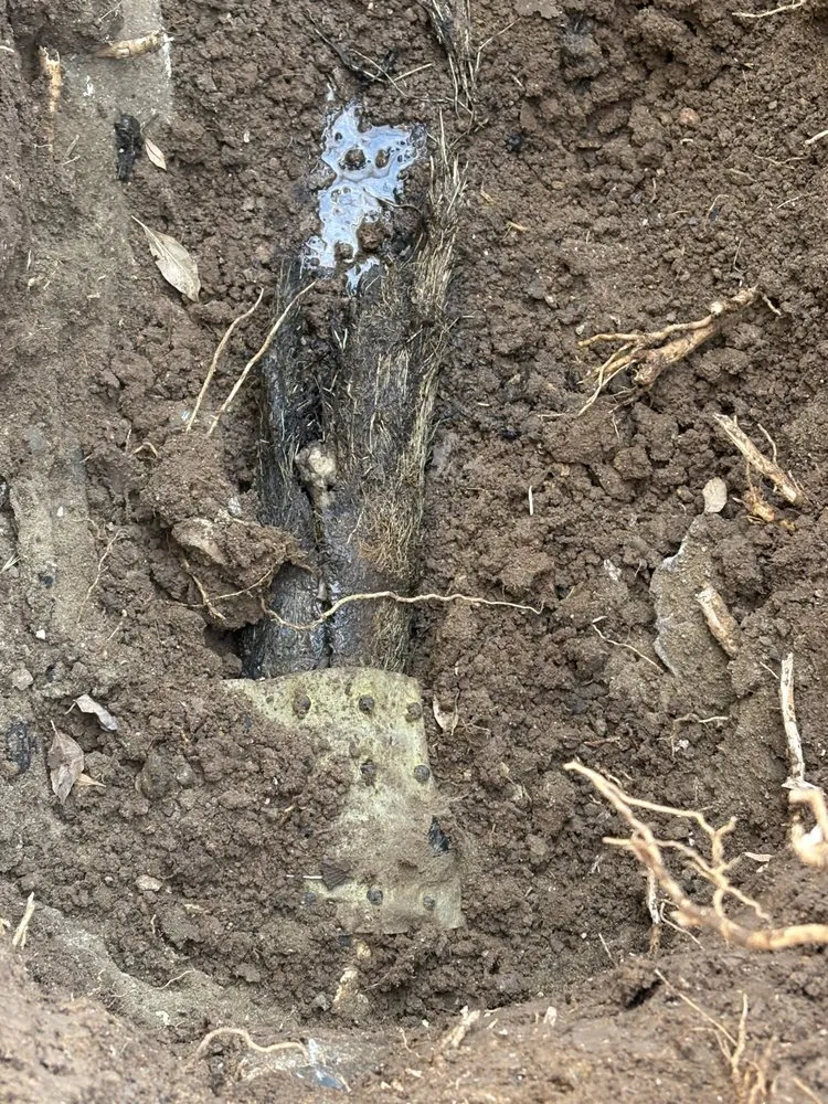 Slide of Chato's Services