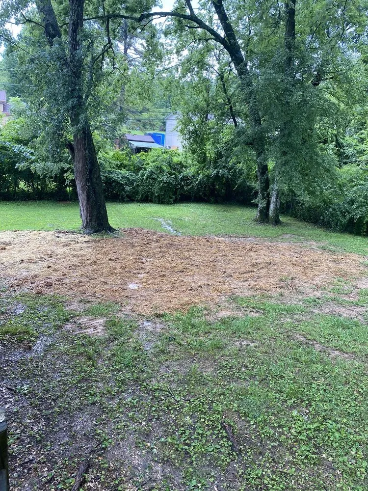 Slide of Chatta Rooter Plumbing