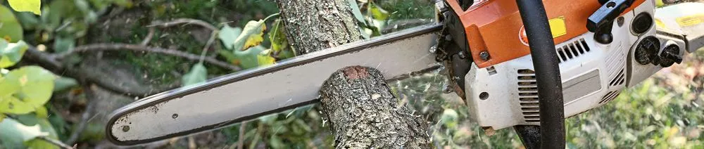 Slide of Cheap-O Contractors