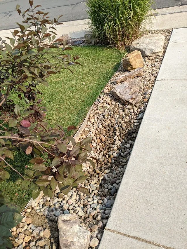 Slide of Cheaper Rooter