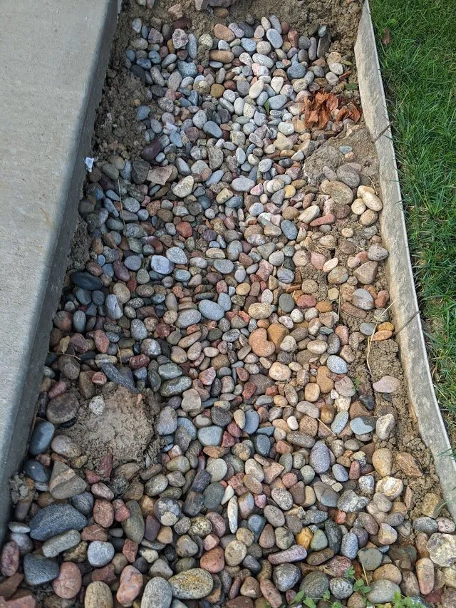 Slide of Cheaper Rooter