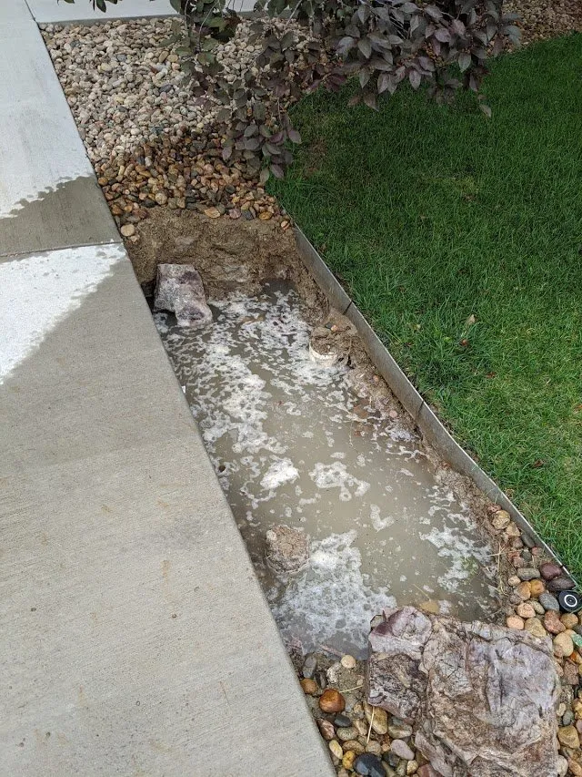 Slide of Cheaper Rooter