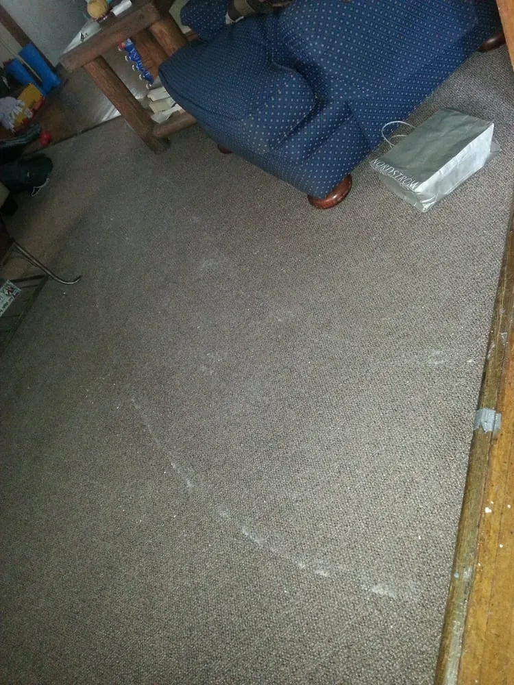 Slide of Cheaper Rooter