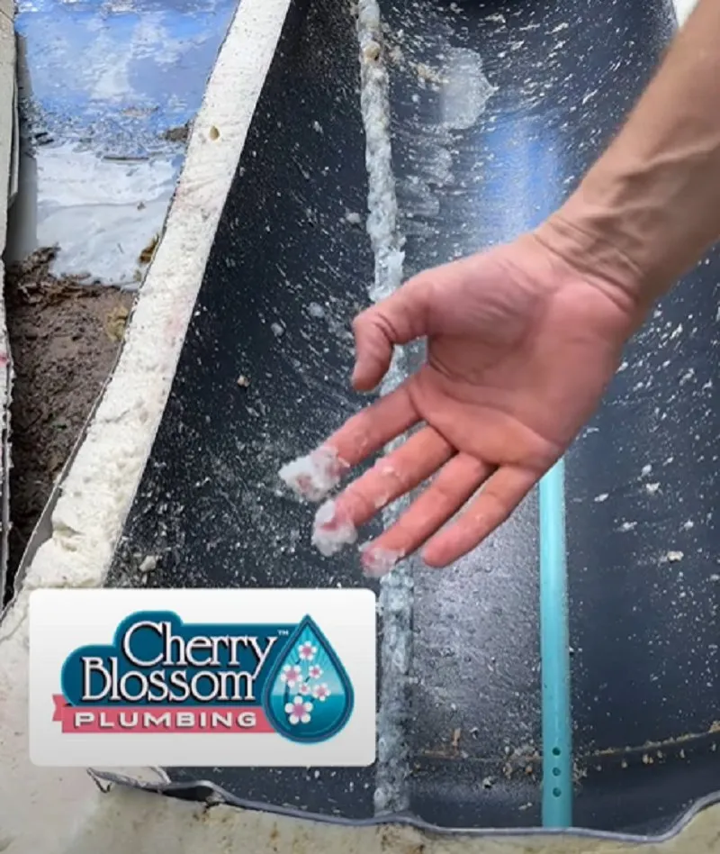 Slide of Cherry Blossom Plumbing