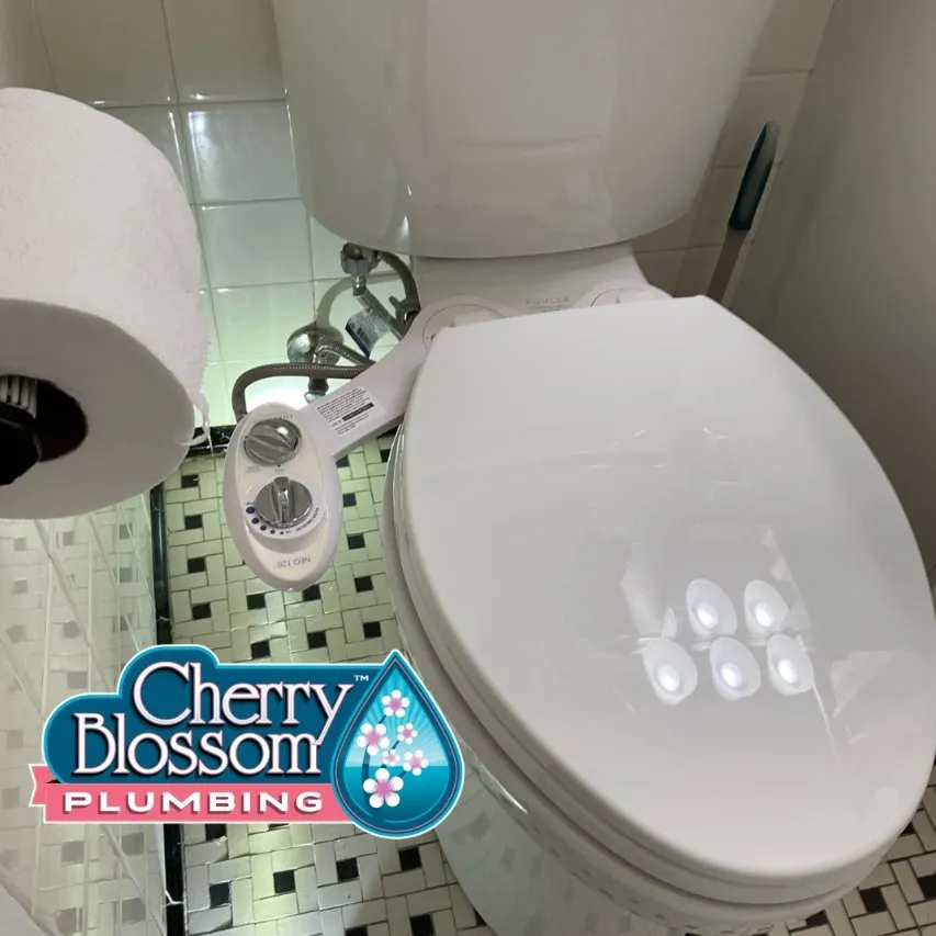 Expert plumbing repair for homes in Arlington, VA by Cherry Blossom Plumbing