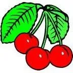 Slide of Cherry City Plumbing