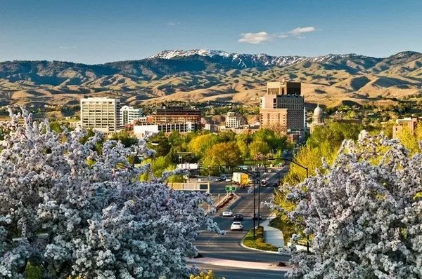 Cherry Plumbing Logo