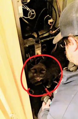 Chet's Plumbing & Heating