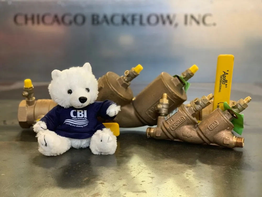 Slide of Chicago Backflow
