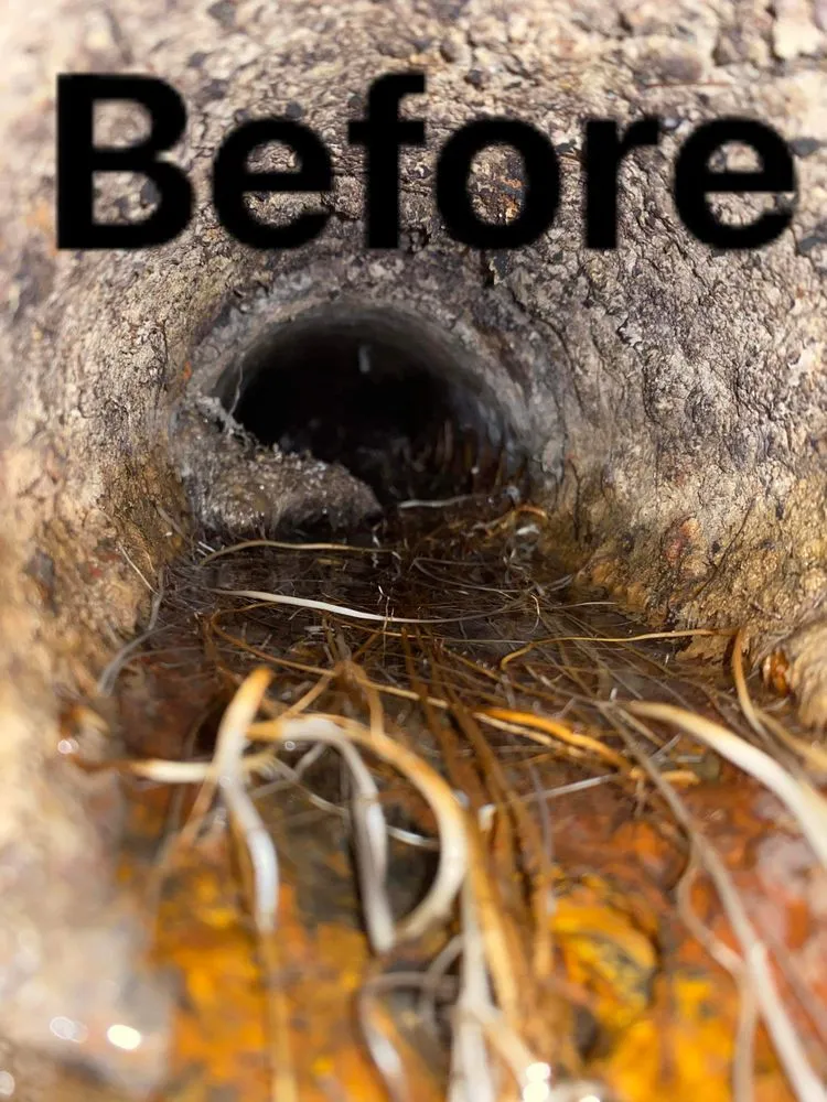 Slide of Chicago Drain Tech