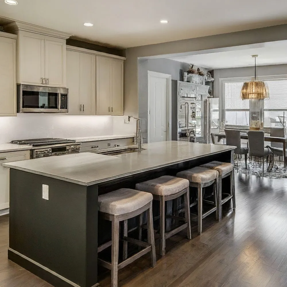 Slide of Chicago Home ReVision