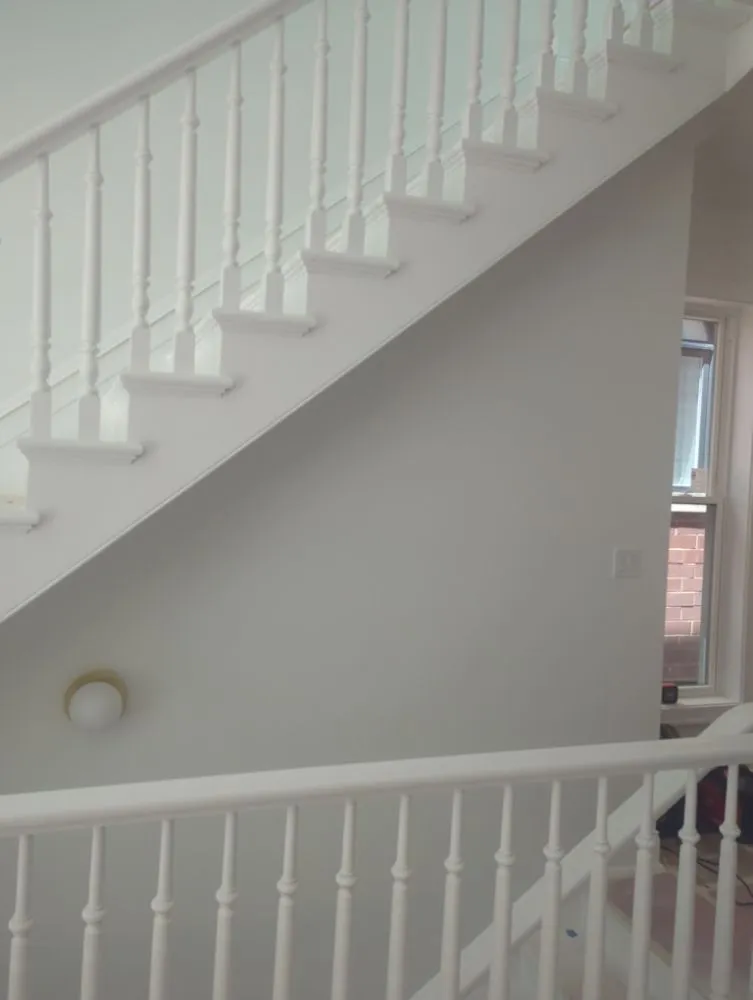 Trusted leak detection in Chicago, IL by Chicago Renovations Pro