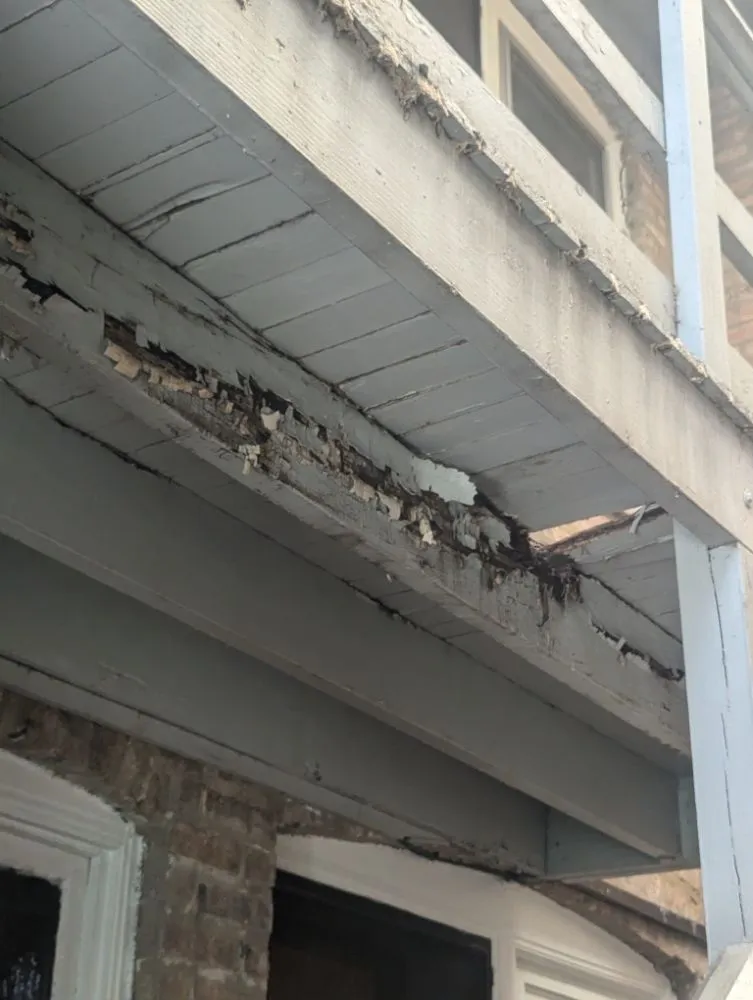 Top-rated drain cleaning experts serving Chicago, IL - Chicago Renovations Pro