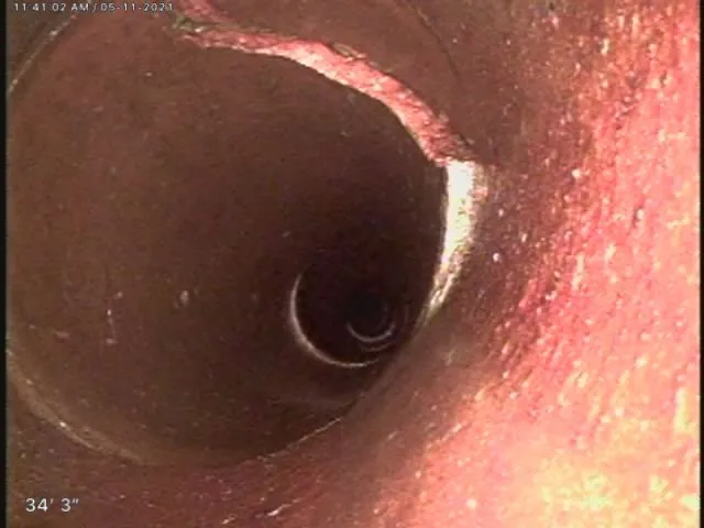 Slide of Chicago Sewer and Drain Professionals