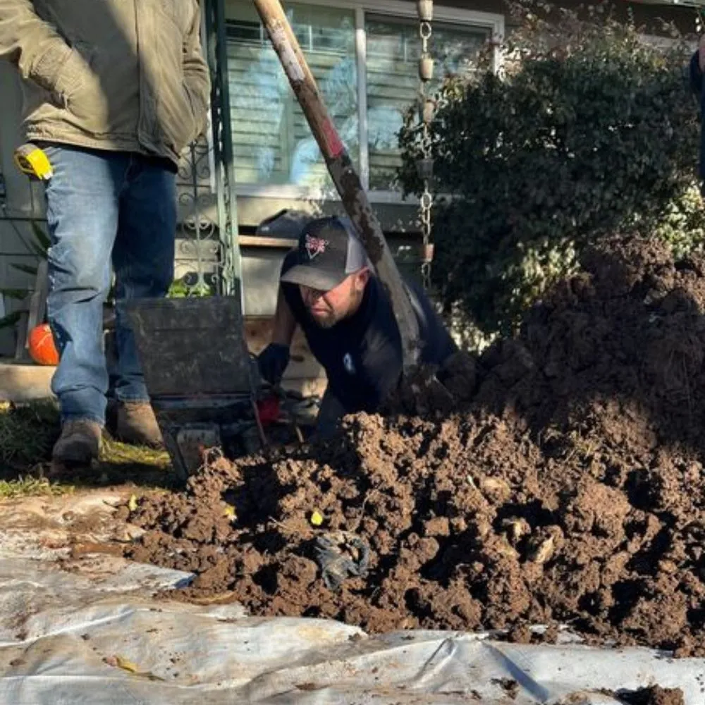 Slide of Chico Septic