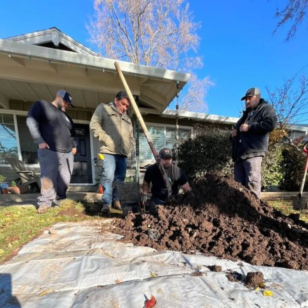 Slide of Chico Septic