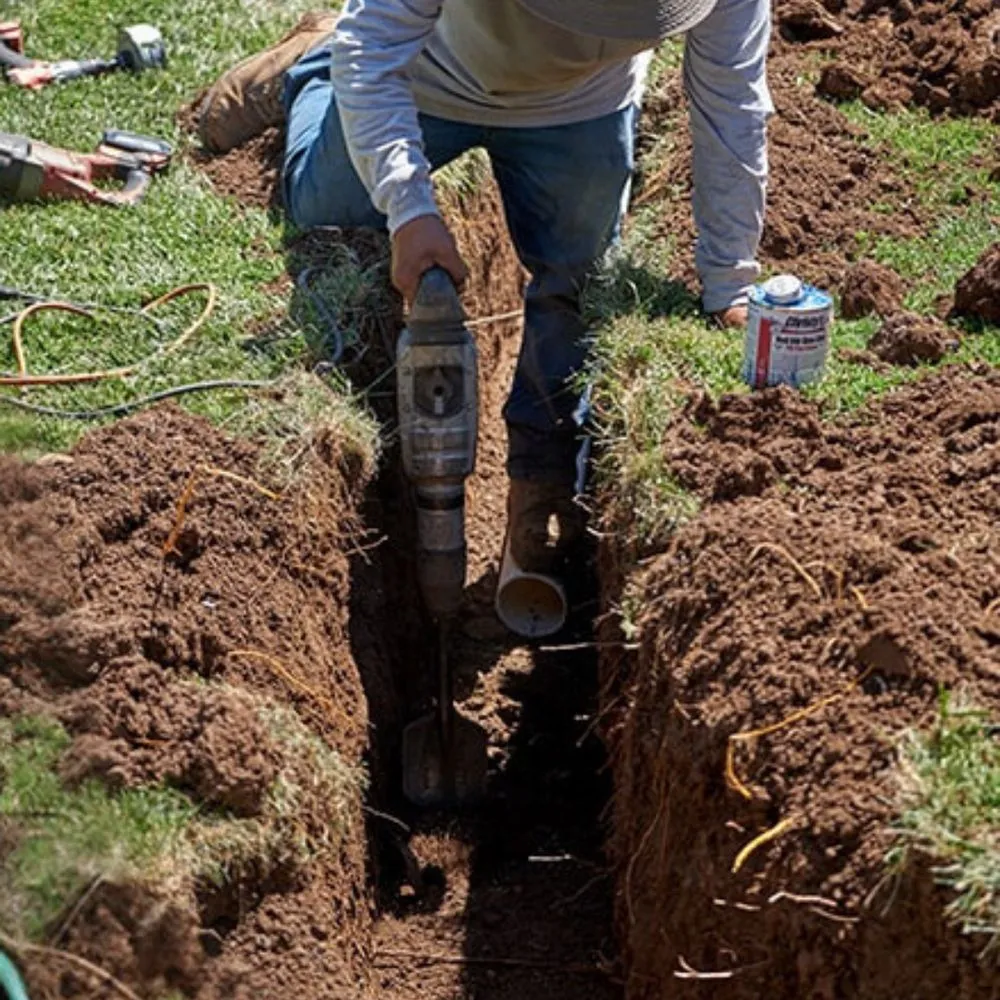 Slide of Chico Septic