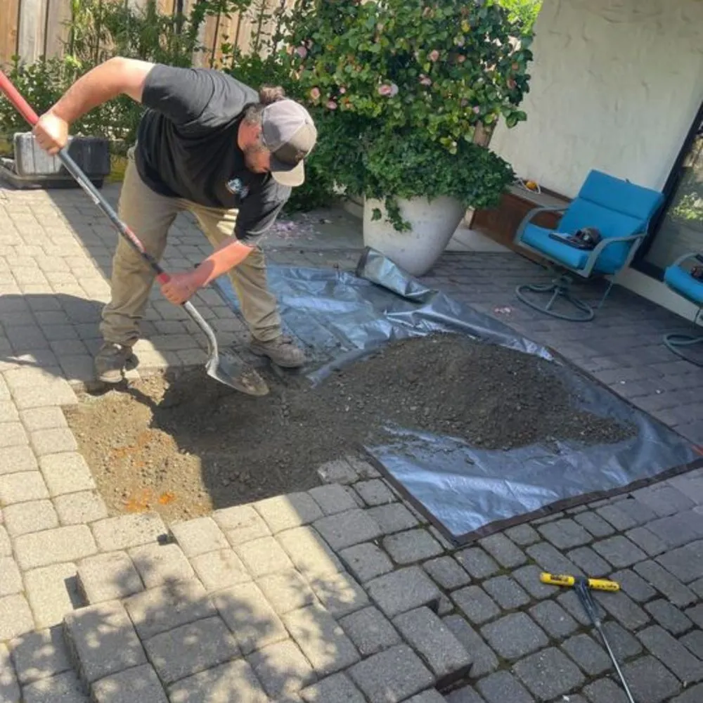 Slide of Chico Septic