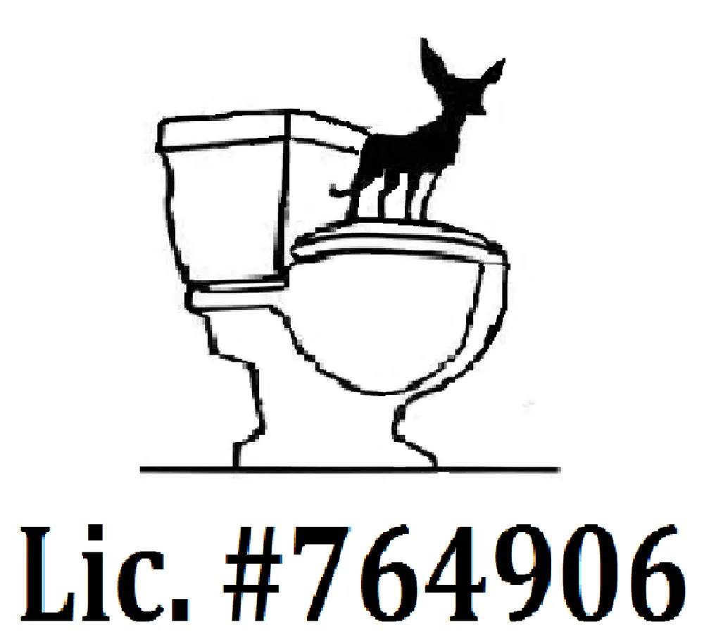 Slide of Chihuahua Plumbing