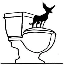 Slide of Chihuahua Plumbing