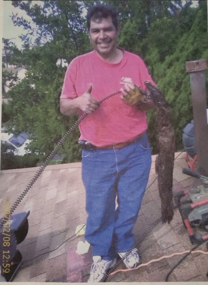 Slide of Chihuahua Plumbing