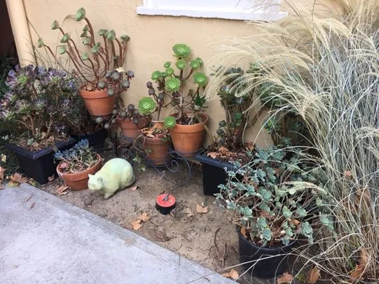 Chilton Plumbing Logo