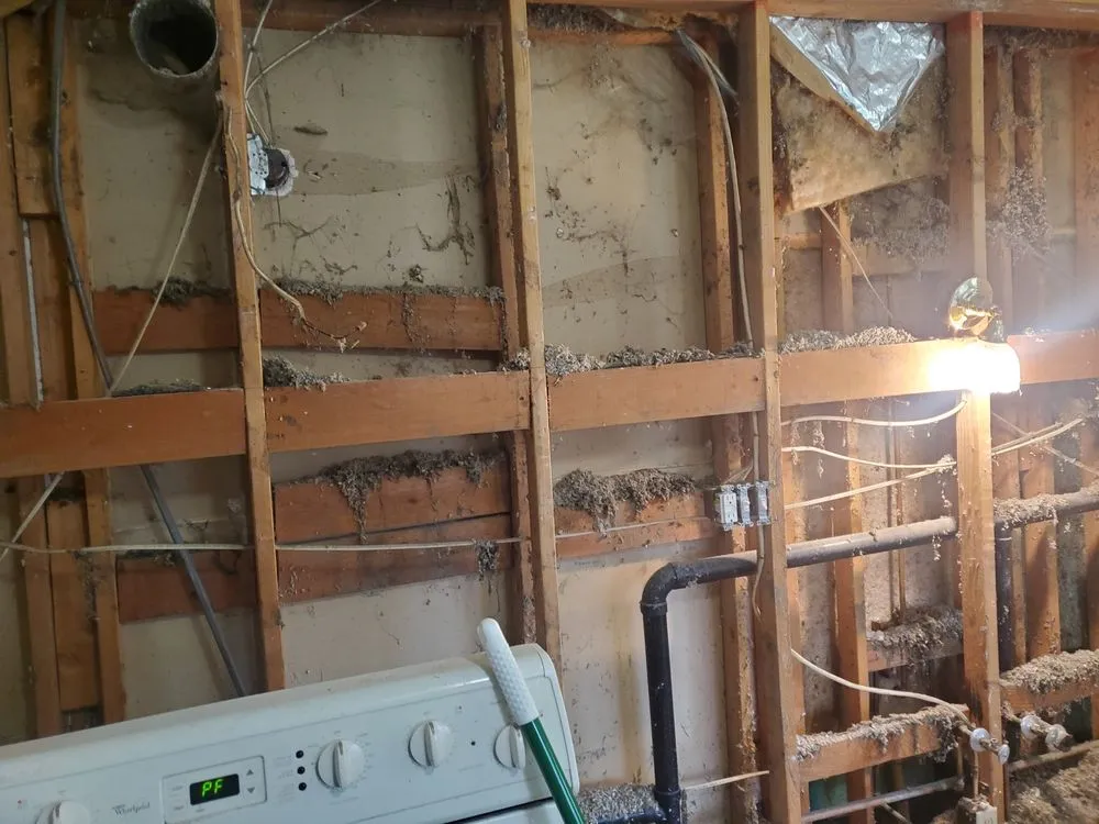 Slide of Chim chimney plus home repairs