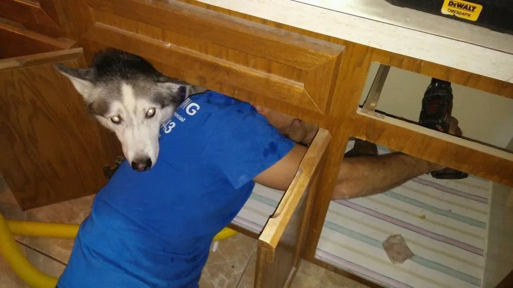 Slide of Choice Plumbing Orlando